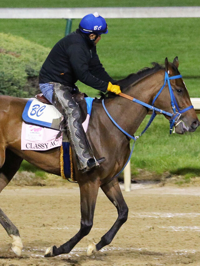 The 149th Kentucky Derby will feature 19 horses